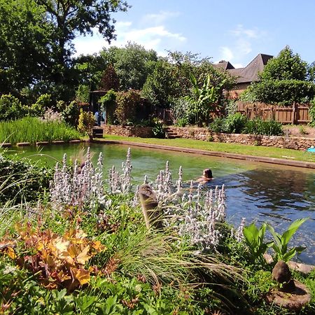 Maison De Charme, Piscine Naturelle Dordogne Perigord Prats-du-Périgord エクステリア 写真